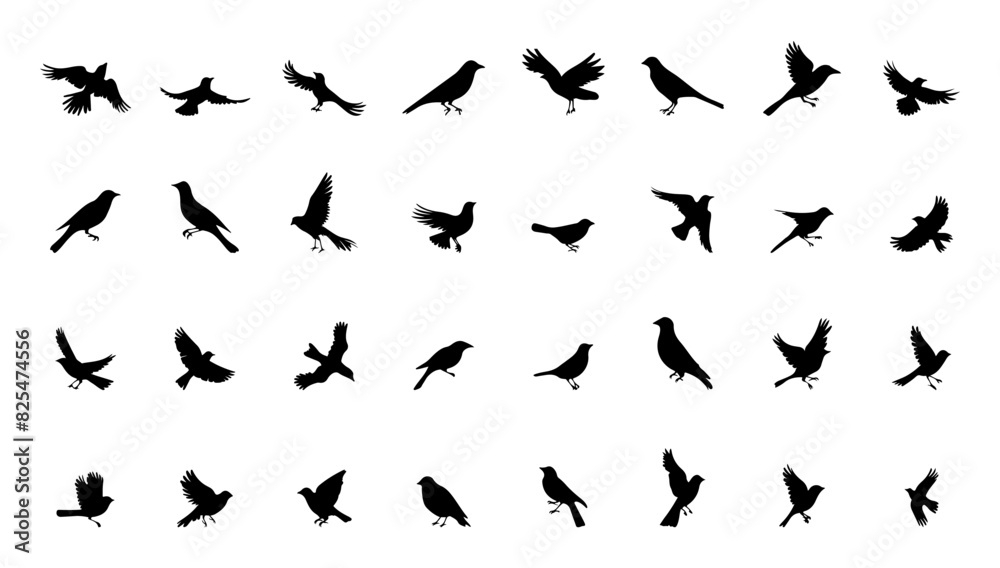 Silhouettes of birds doodle set. Black collection design animal cartoon for nature. Element graphic drawing sketch and isolated white background. Abstract decoration symbol Silhouettes of birds doodle set. Black collection design animal cartoon for nature. Element graphic drawing sketch and isolated white background. Abstract decoration symbol