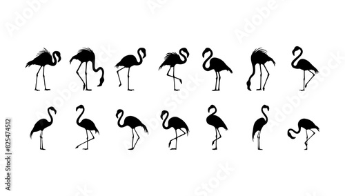 Flamingo silhouettes set black vector illustration. Animal wildlife symbol and cartoon art tropical bird. Cut out collection exotic sign sketch isolated white background