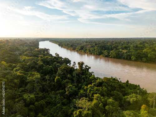 Amazon Rainforest