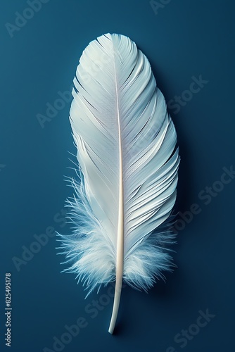 A single white feather isolated on a blue background. photo