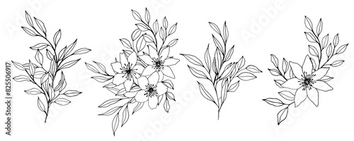 vector contour branch and leaves compositions. Elegant branches for decoration. hand drawing monochrome botanical illustration for backgrounds. Template for wedding cards and polygraph, logo, tattoo.