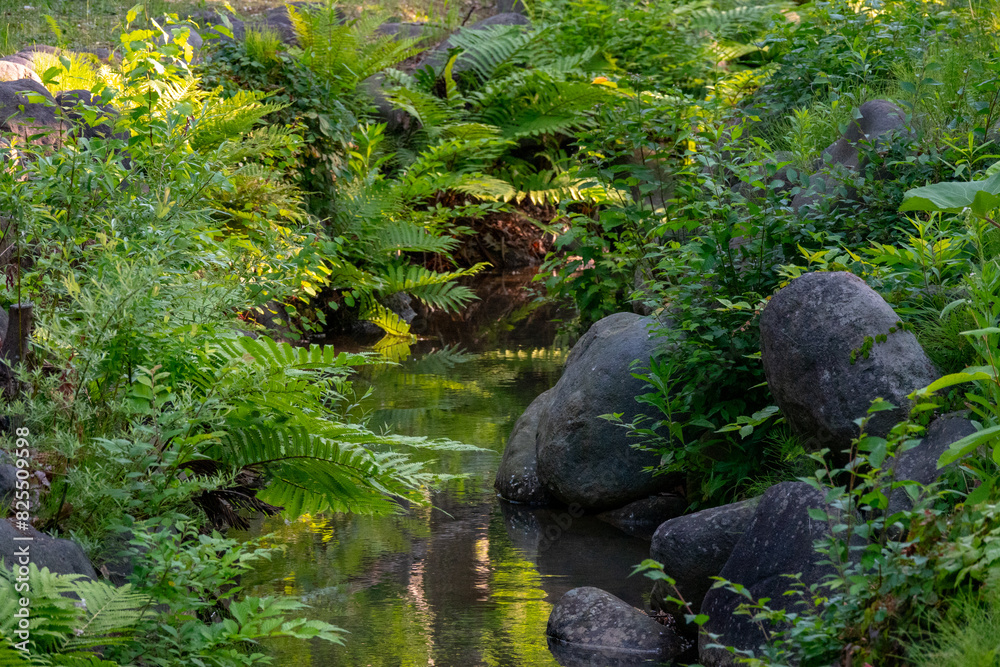 初夏の中島公園(北海道札幌市中央区) 初夏の中島公園(北海道札幌市中央区)
