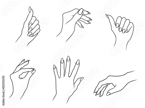 Vector illustration of outline set of various female palm of hand with nails, isolated, on white background.