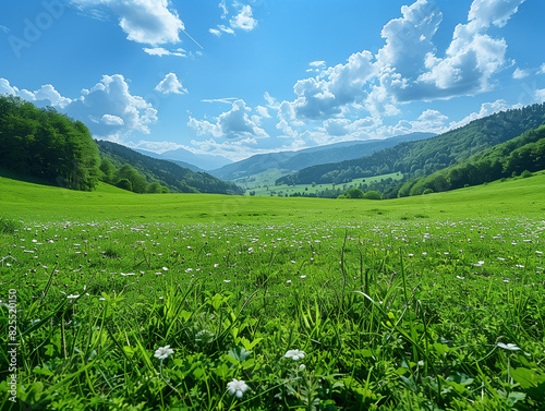 Paysage d'une superbe prairie de montagne à l'herbe verte sous un soleil clair et un ciel bleu