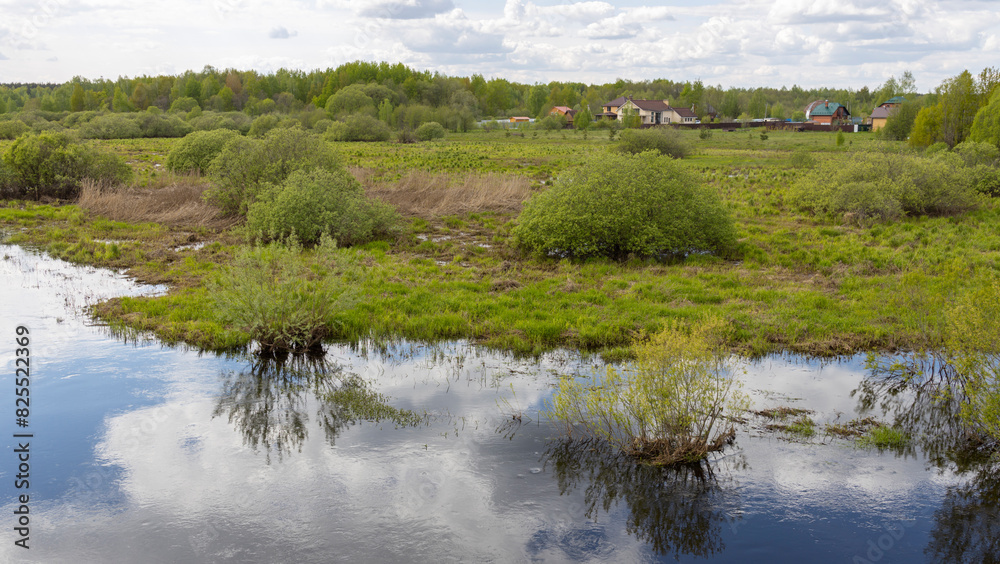 A tranquil wetland scene with reflections of lush greenery and trees in the calm water, bordered by a rural community with houses and overgrown vegetation. A tranquil wetland scene with reflections of lush greenery and trees in the calm water, bordered by a rural community with houses and overgrown vegetation.