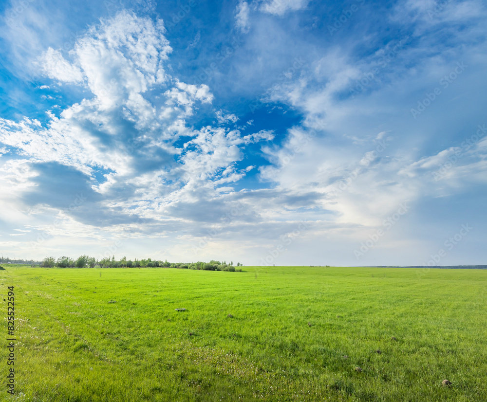 A lush green field with vibrant trees reaching towards the sky, accompanied by billowing clouds in the background, creating a picturesque scene of tranquility and natures beauty.