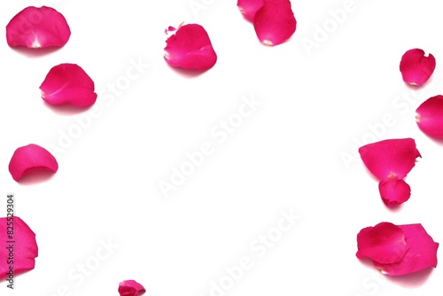 Blurry a group of sweet pink rose corollas with droplets on white isolated background with copy space photo
