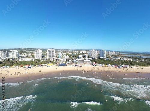 Maroochydore Cotton Tree photo