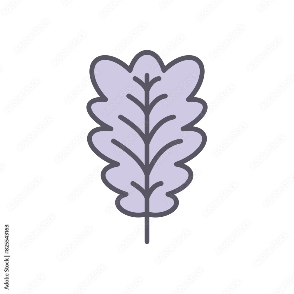 Oak Leaf Oak Leaf