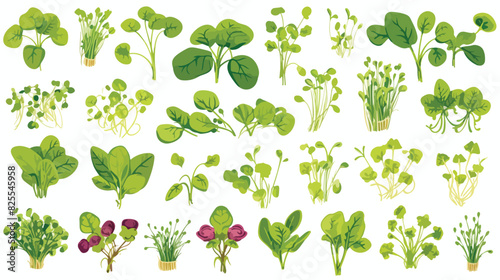 Engraved microgreens botanical vector set with titl