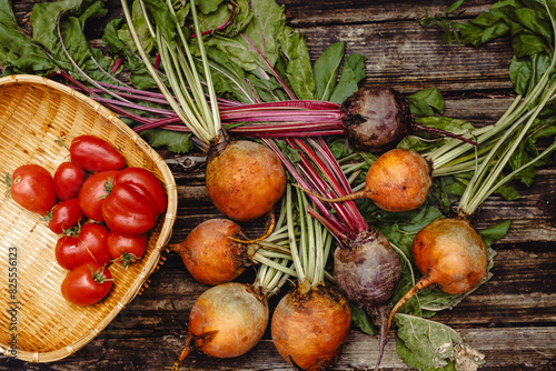 Colorful rainbow beets. Golden, pink and purple beets on the open air. Organic vegetables.