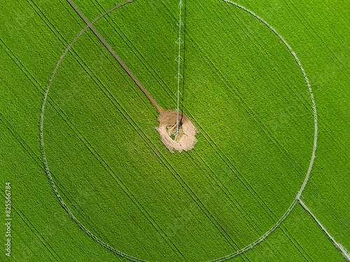 Soybean plantation, circular field with automated irrigation equipment.