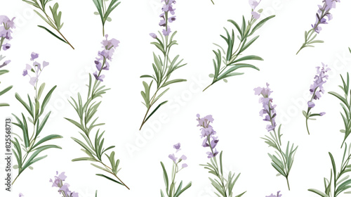 Hand drawn rosemary seamless pattern colored sketch