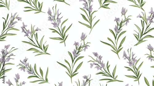 Hand drawn rosemary seamless pattern colored sketch