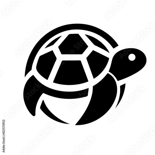 turtle 2
