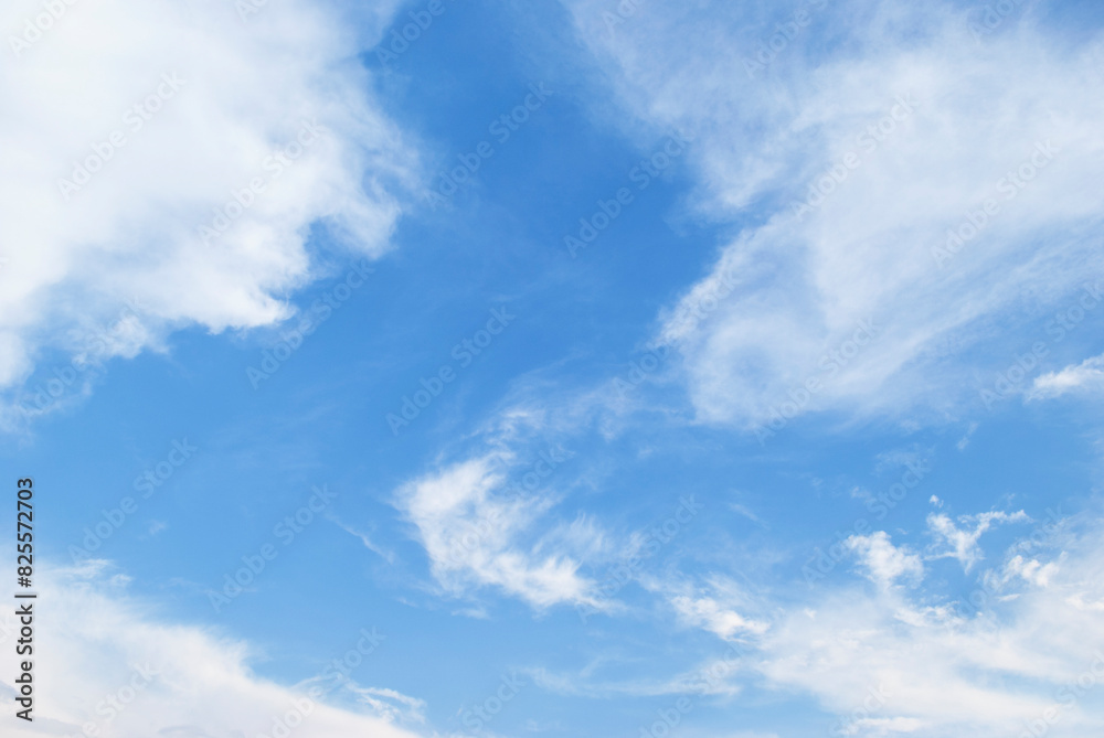 Fototapeta premium gentle clouds in the blue sky