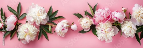 Frame made of beautiful peony flowers on pink background. Flat lay  copy space  summer flowers