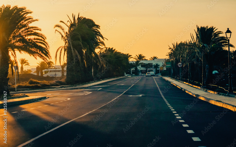 A palm trees and a dream road across the island in the Atlantic ocean at sunset.