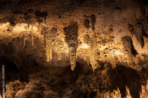 Rock formations in Carlsbad Caverns National Park, New Mexico photo