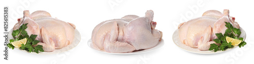 Set of whole raw chicken isolated on white, different sides