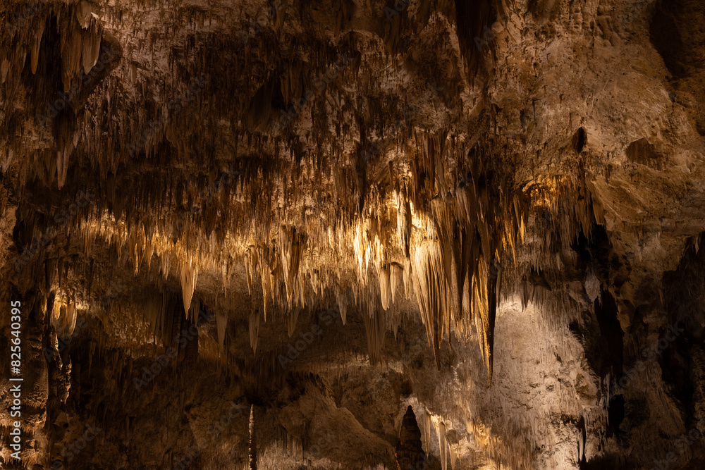 Rock formations in Carlsbad Caverns National Park, New Mexico
Rock formations in Carlsbad Caverns National Park, New Mexico