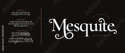 Musquite premium luxury elegant alphabet letters and numbers. Vintage wedding typography classic serif font decorative vintage retro. creative vector illustration