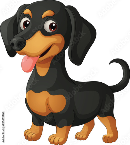 Cartoon happy dachshund dog isolated on white background