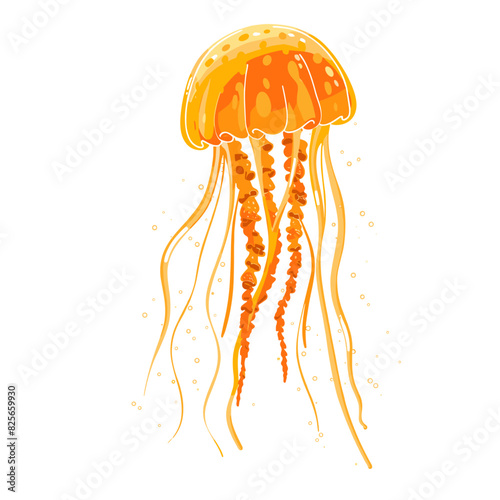 An orange jellyfish with long, trailing tentacles