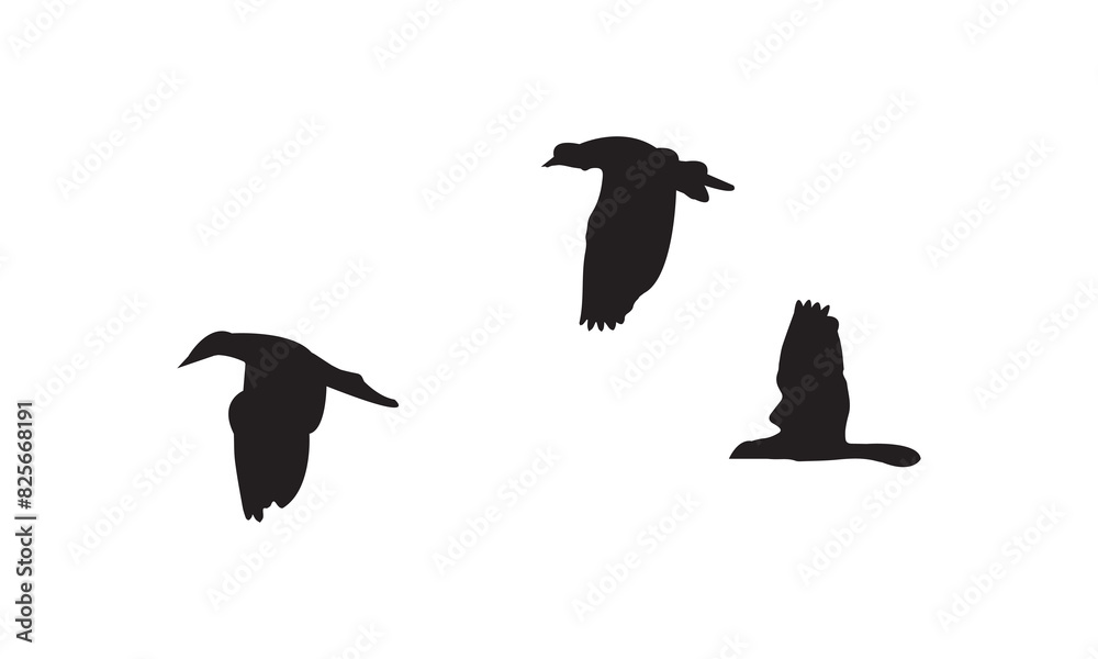 Obraz premium Flying Birds Vector And Illustration. 