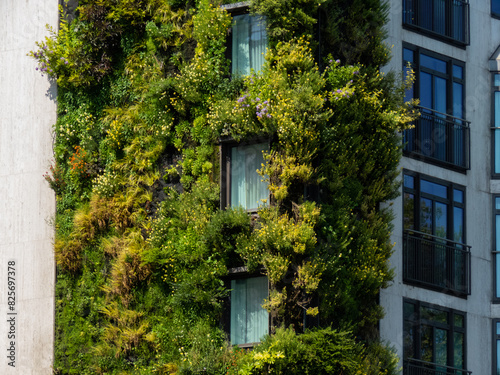 vertical garden, climate change