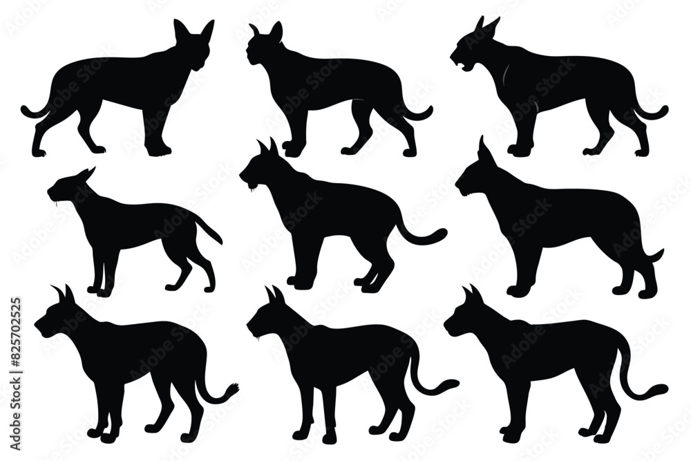 Set of Balkan Lynx animal black silhouette vector on white background