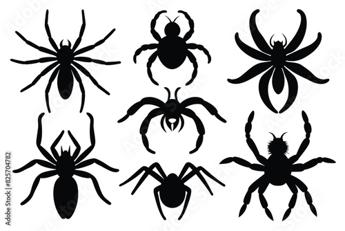 Set of Banana Spider animal black silhouette vector on white background © mobarok8888
