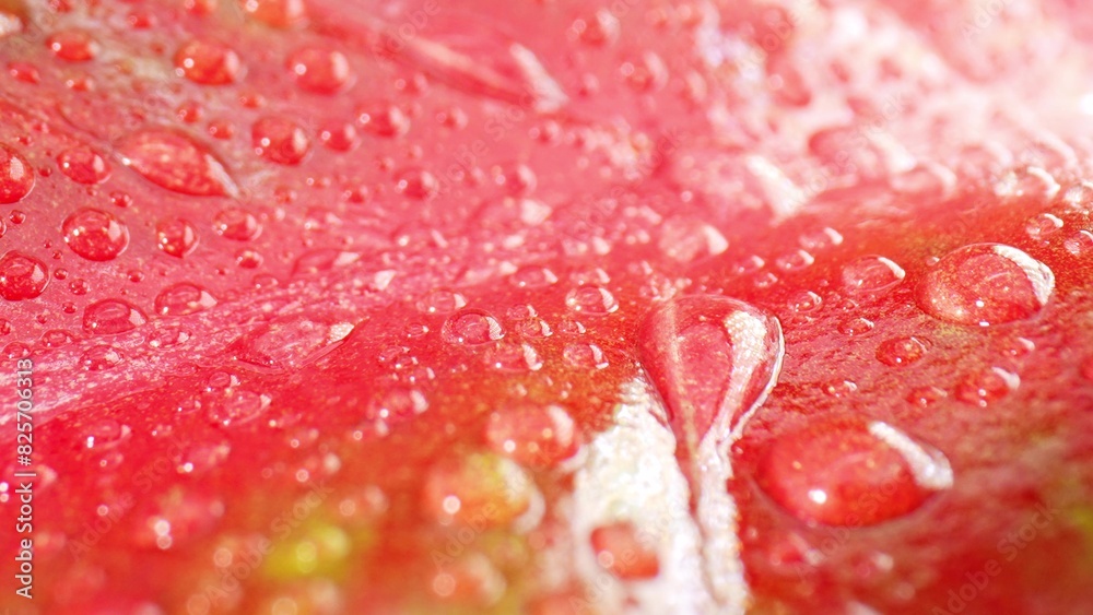 Up-close showcases the sheer elegance of water droplets on dewy pink green leaves, a truly enchanting natural marvel. Natural beauty concept.
Up-close showcases the sheer elegance of water droplets on dewy pink green leaves, a truly enchanting natural marvel. Natural beauty concept.