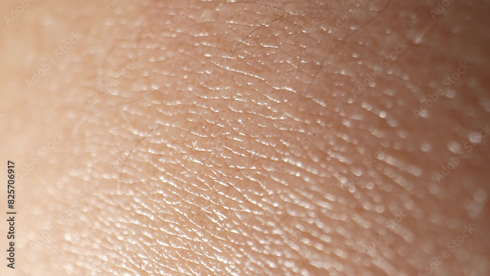 A close-up view unveils the arm's skin as a complex tapestry of pores, follicles, and micro-ridges, a testament to the body's intricate design.
A close-up view unveils the arm's skin as a complex tapestry of pores, follicles, and micro-ridges, a testament to the body's intricate design.
