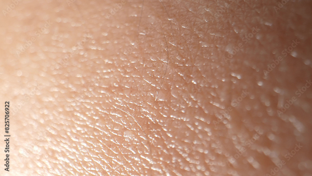 Zooming in, the arm's surface transforms into a mesmerizing mosaic of pores, lines, and textures, showcasing its natural beauty.
Zooming in, the arm's surface transforms into a mesmerizing mosaic of pores, lines, and textures, showcasing its natural beauty.