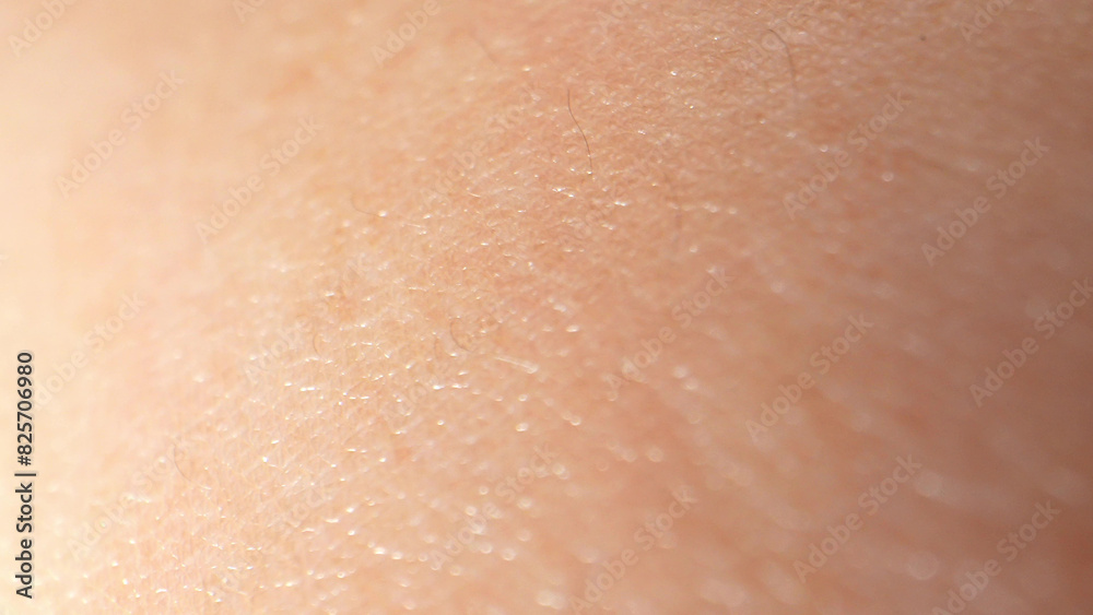 Fototapeta premium Detailed macro reveals arm surface skin's delicate texture, with fine hair follicles and tiny sweat pores. 