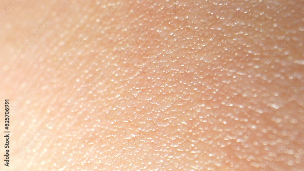 The arm's skin in stunning detail, showcasing its role in temperature regulation, moisture retention, and its vital function as a sensory interface between the body and the environment.
The arm's skin in stunning detail, showcasing its role in temperature regulation, moisture retention, and its vital function as a sensory interface between the body and the environment.