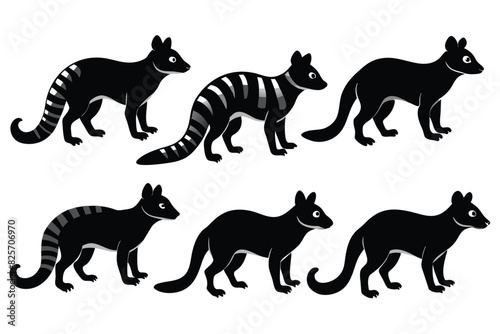 Set of Banded Palm Civet animal black silhouette vector on white background