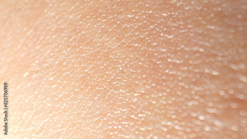 In macro, arm surface skin reveals epidermal layers, sweat glands, and fine hair follicles, showcasing the body's protective and thermoregulatory functions. 
 photo