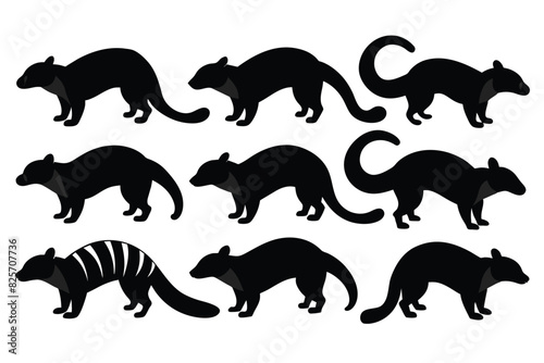 Set of Banded Palm Civet animal black silhouette vector on white background