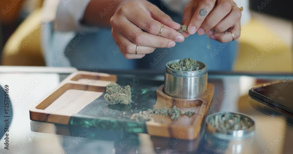 Hands, marijuana and person with grinder in home for smoke or rolling with joint for 420 at table. Cannabis, weed and drug abuse with natural or cbd plant with addiction, relief or high in Germany