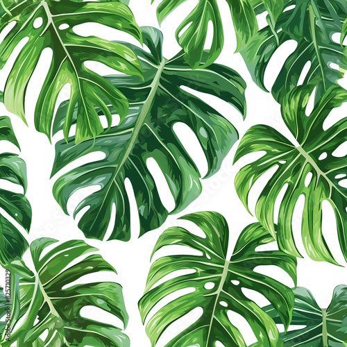 Monstera Leaves Isolated Clipart on Transparent Background