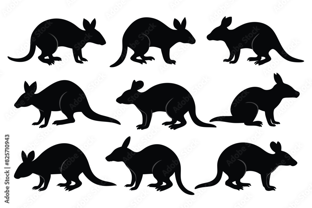 Set of Bandicoot animal black silhouette vector on white background