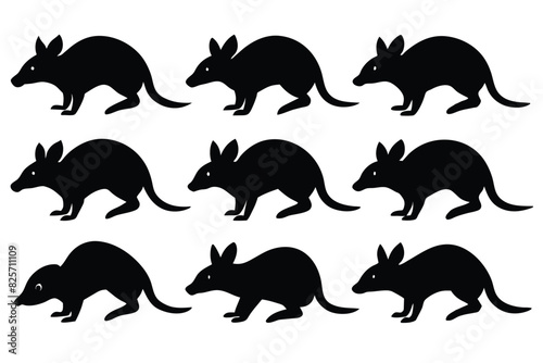 Set of Bandicoot animal black silhouette vector on white background