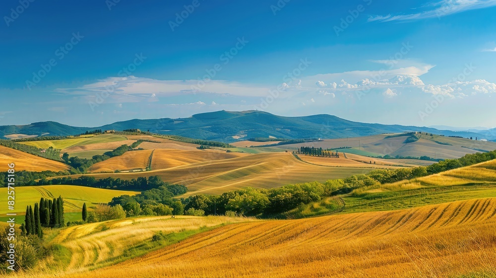 A scenic view of rolling hills and golden fields under a clear blue sky, characteristic of the idyllic summer season.