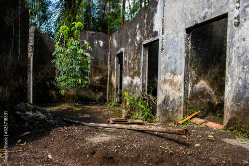 The abandoned old building is filled with moss and wild plants.