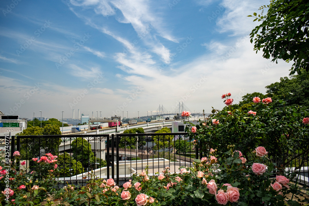 5月の横浜の風景 5月の横浜の風景