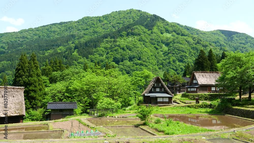 初夏の世界遺産 五箇山 相倉集落 富山県 初夏の世界遺産 五箇山 相倉集落 富山県