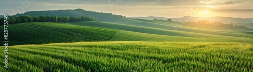 Field transforming with crops