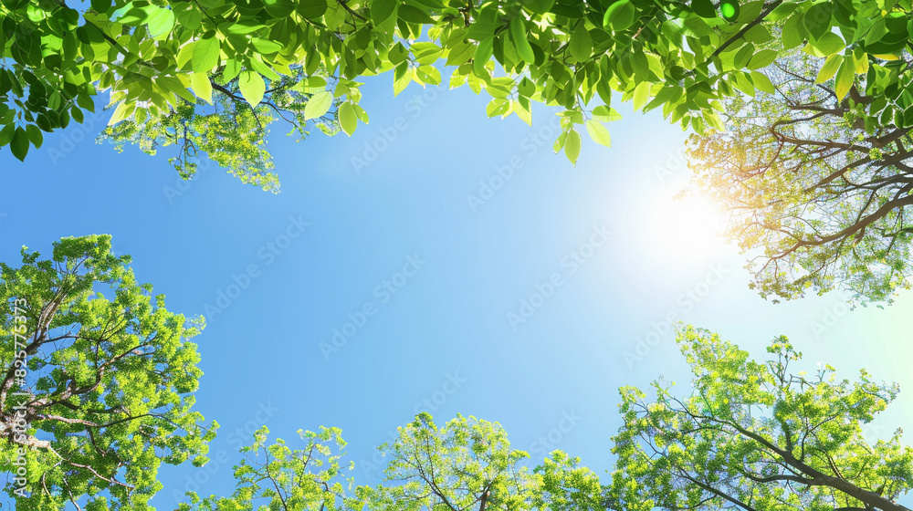 Fototapeta premium Bright sunny day viewed through lush green tree canopy with vibrant blue sky. Perfect nature and summer background.